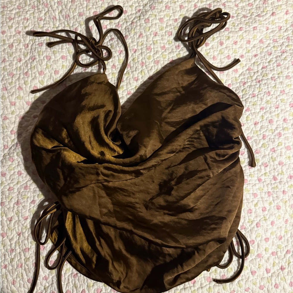 Lioness Bronze Satin Top